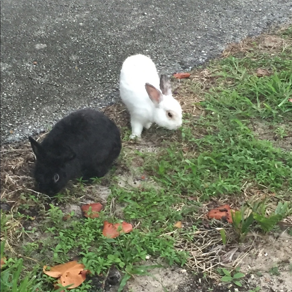 Meet your Posher, Mason